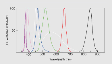 光学频谱1