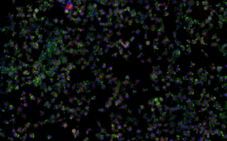 Multispectral Imaging